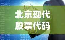 北京现代股票代码揭秘,企业数字背后的故事探秘