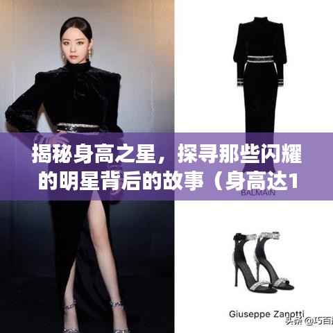 揭秘身高之星,探寻那些闪耀的明星背后的故事(身高达162cm)