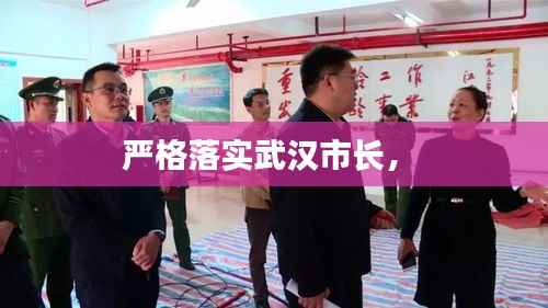 严格落实武汉市长,