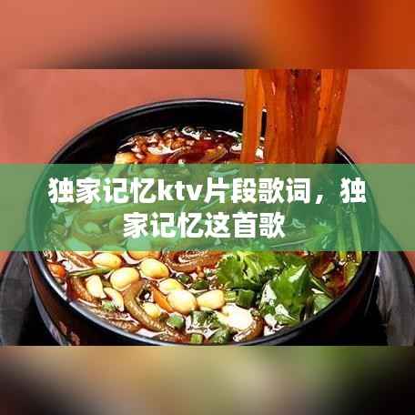 独家记忆ktv片段歌词，独家记忆这首歌 