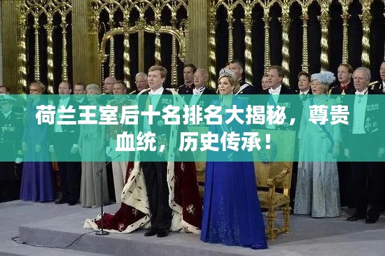 荷兰王室后十名排名大揭秘,尊贵血统,历史传承!