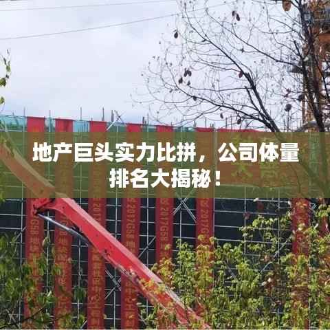 地产巨头实力比拼，公司体量排名大揭秘！