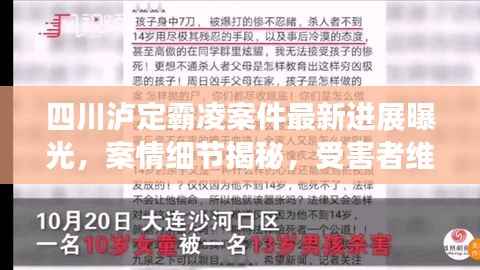 四川泸定霸凌案件最新进展曝光，案情细节揭秘，受害者维权之路持续前行